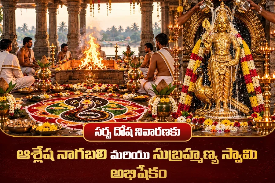 సర్పదోష నివారణకు ఆశ్లేషబలి పూజ మరియు సుబ్రహ్మణ్య అభిషేకం