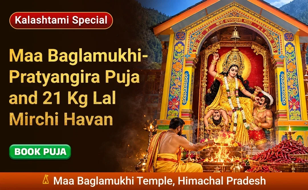Maa Baglamukhi-Pratyangira Puja and 21 Kg Lal Mirchi Havan
