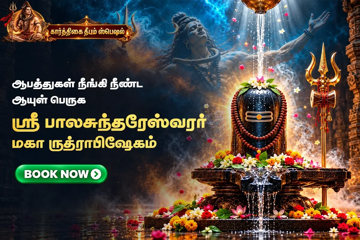 ஸ்ரீ பால சுந்தரேஸ்வரர் மகா ருத்ராபிஷேகம்