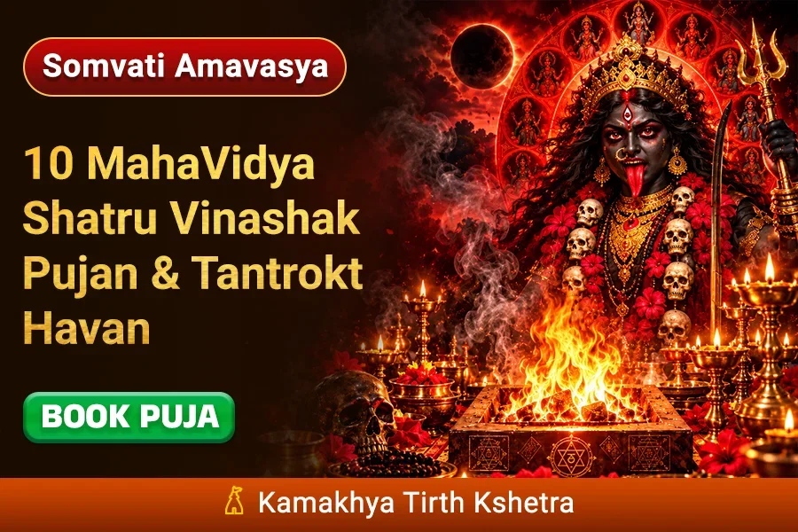 Kamakhya Tirth Kshetra: 10 Mahavidya Shatru Vinashak Pujan and Tantrokt Havan