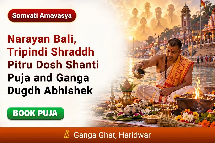 Narayan Bali Tripindi Shraddh Pitru Dosh Shanti Puja and Ganga Dugdh Abhishek