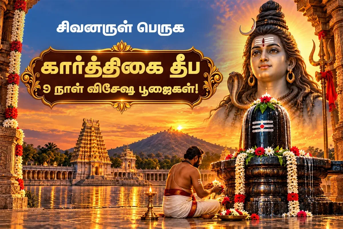 கார்த்திகை தீப பெருவிழா 9 திவ்ய சிவ ஆராதனைகள்